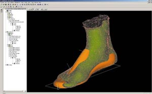 Рис. 22. Трехмерная модель ступни и стандартная колодка