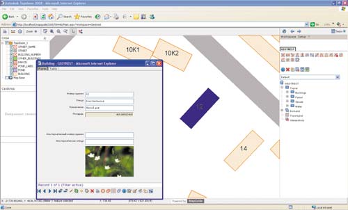Рис. 3. Интерфейс Topobase Web