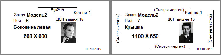 Рис. 5. Бирка с графическим изображением